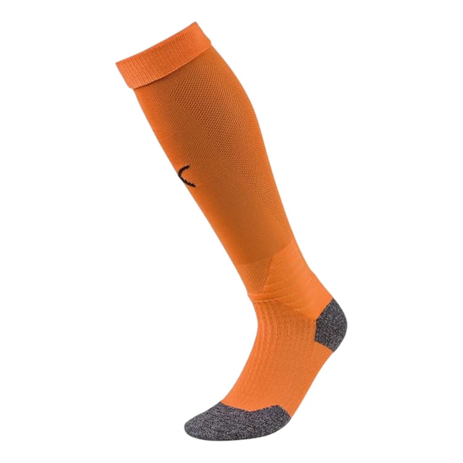 Puma Childrens/Kids Team Liga Football Socks