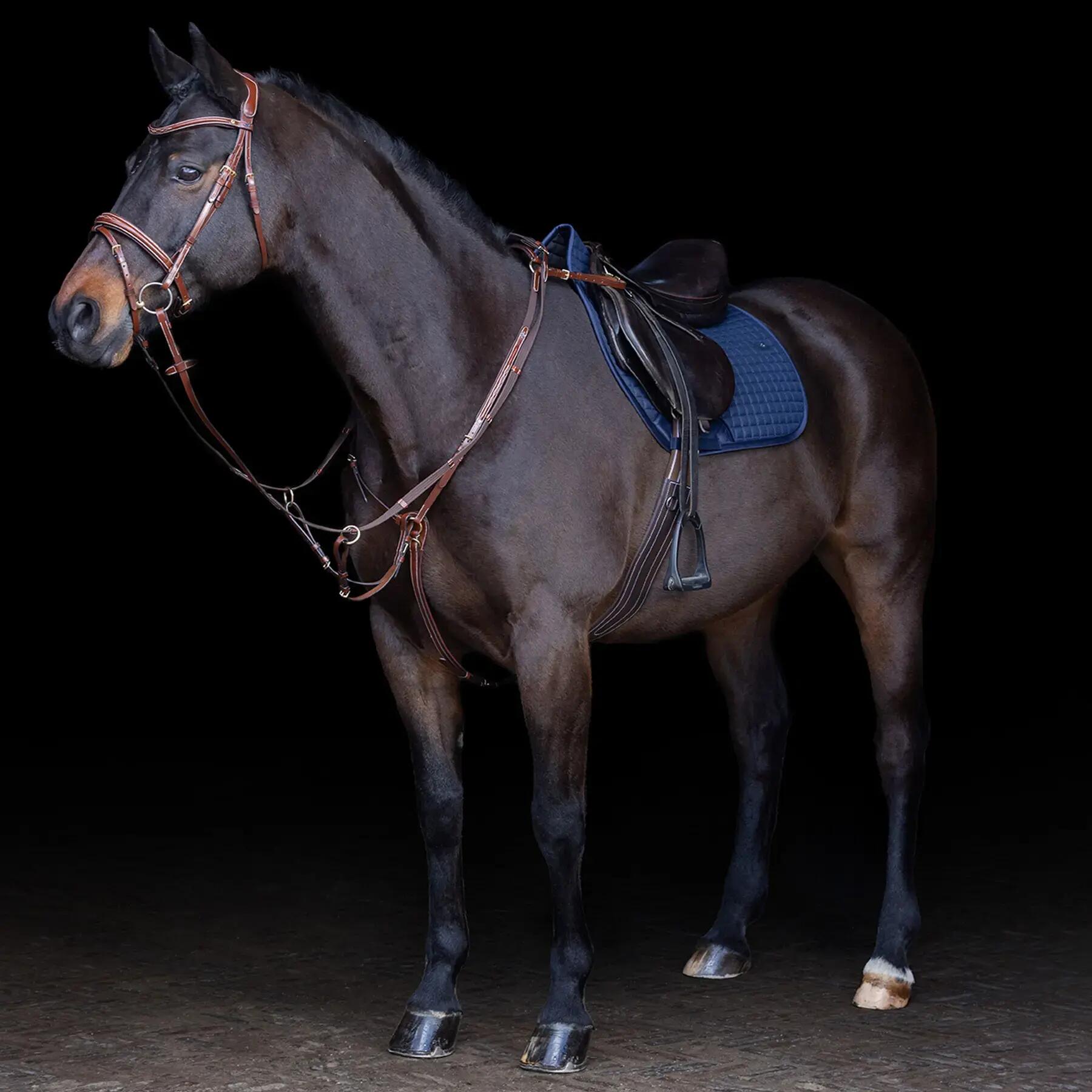 Martingale for horse HV Polo Legacy 2/2