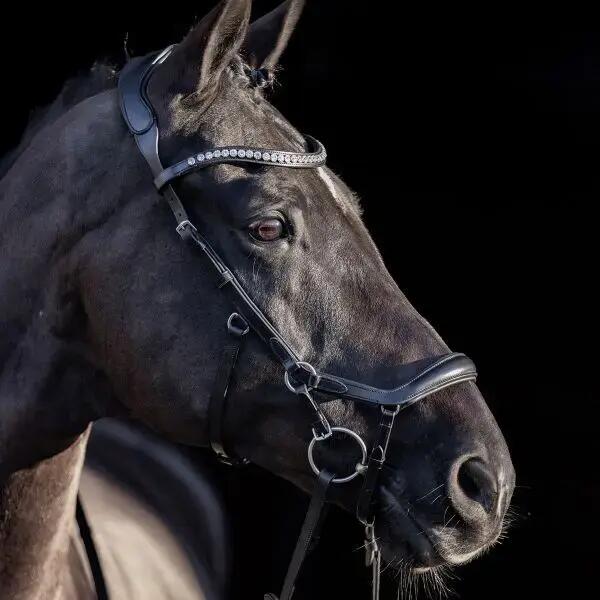 Anatomisch geformte Reitzäume HV Polo Legacy deluxe 2/2