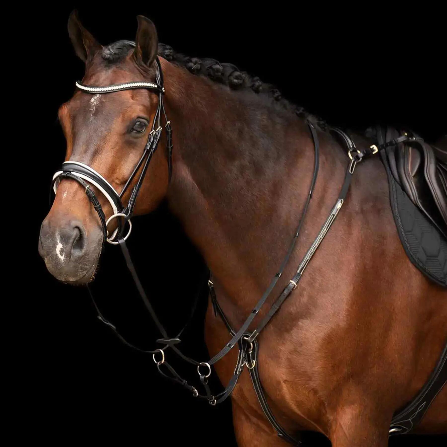 Martingale pour cheval HV Polo Legacy 4/5