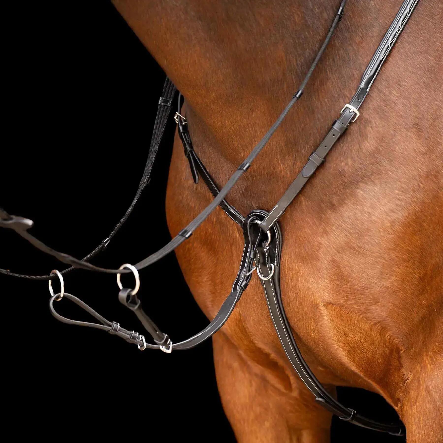 Martingale pour cheval HV Polo Legacy 2/5