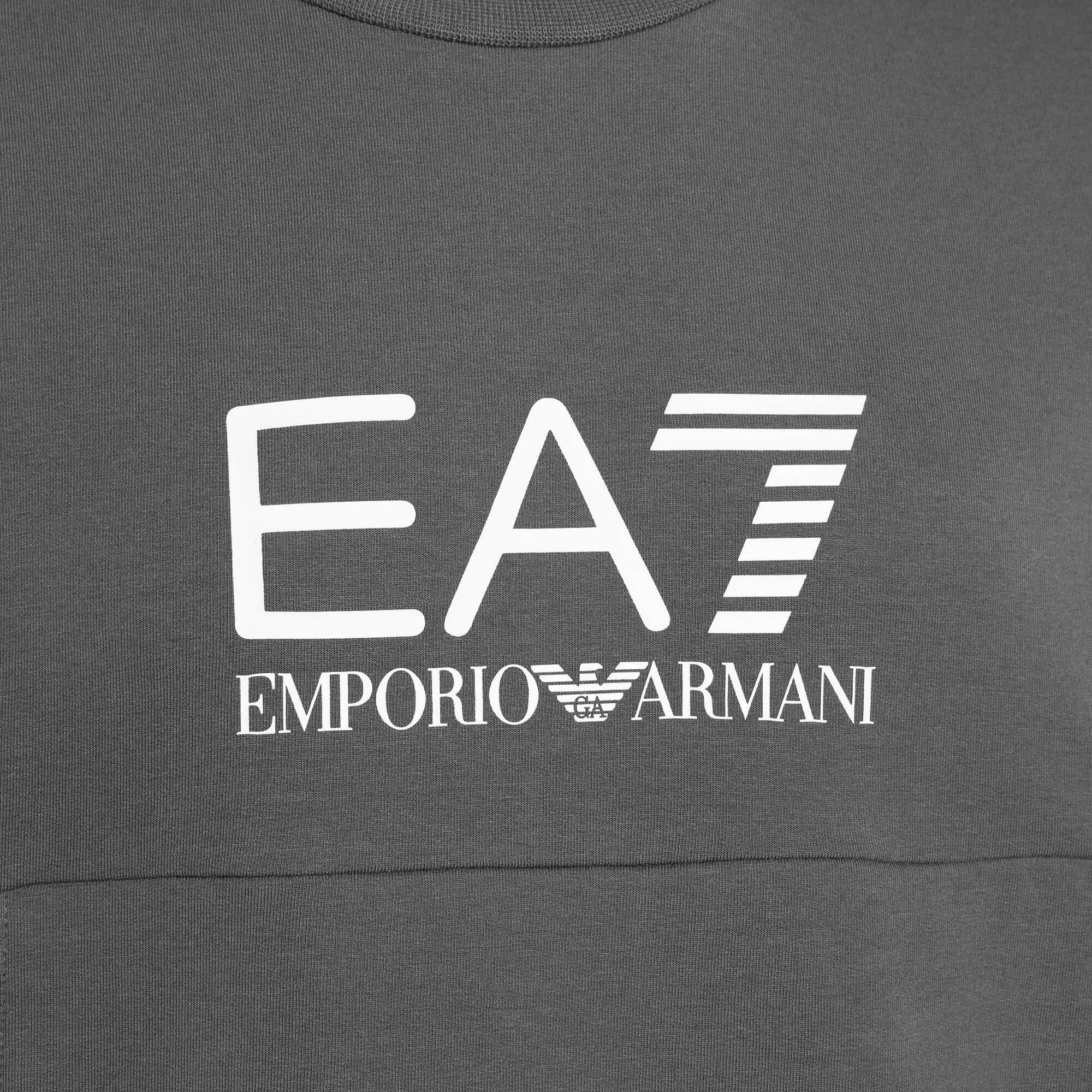 Bluza męska EA7 Emporio Armani Train Summer Block 7/7
