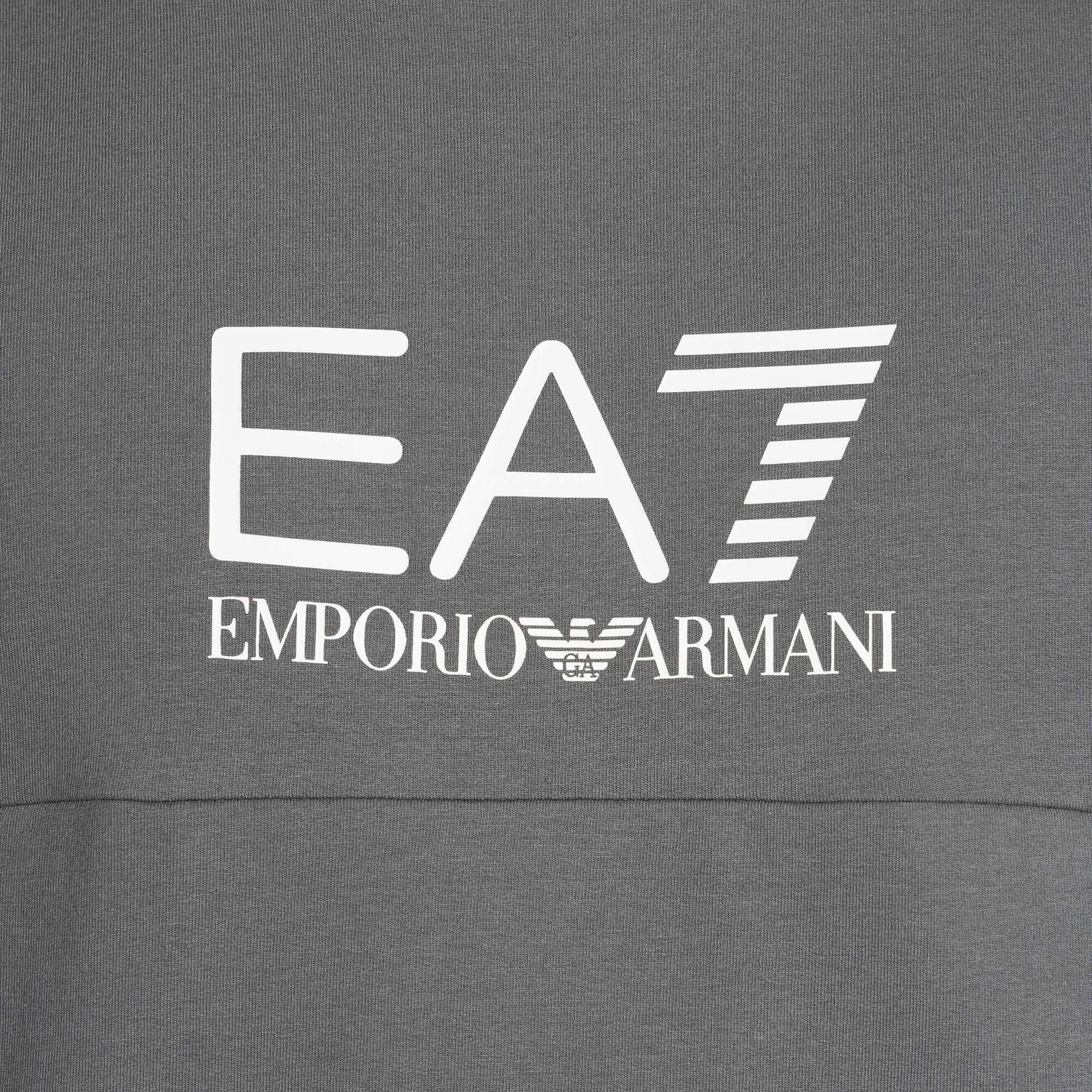 Bluza męska EA7 Emporio Armani Train Summer Block 3/7