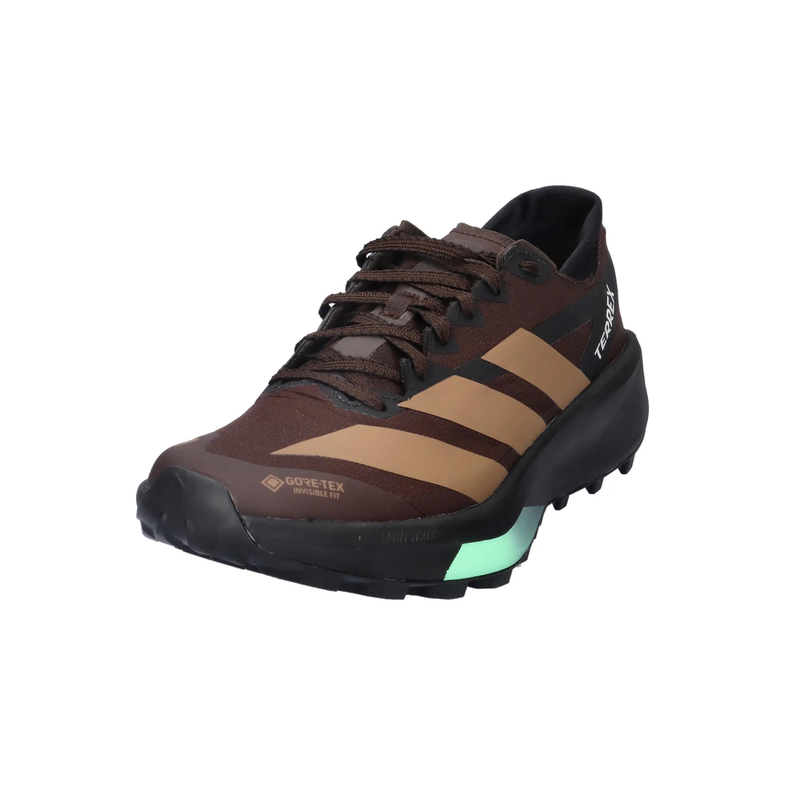 adidas TERREX Herren Trail-Running Schuhe Agravic GTX 2 4/14