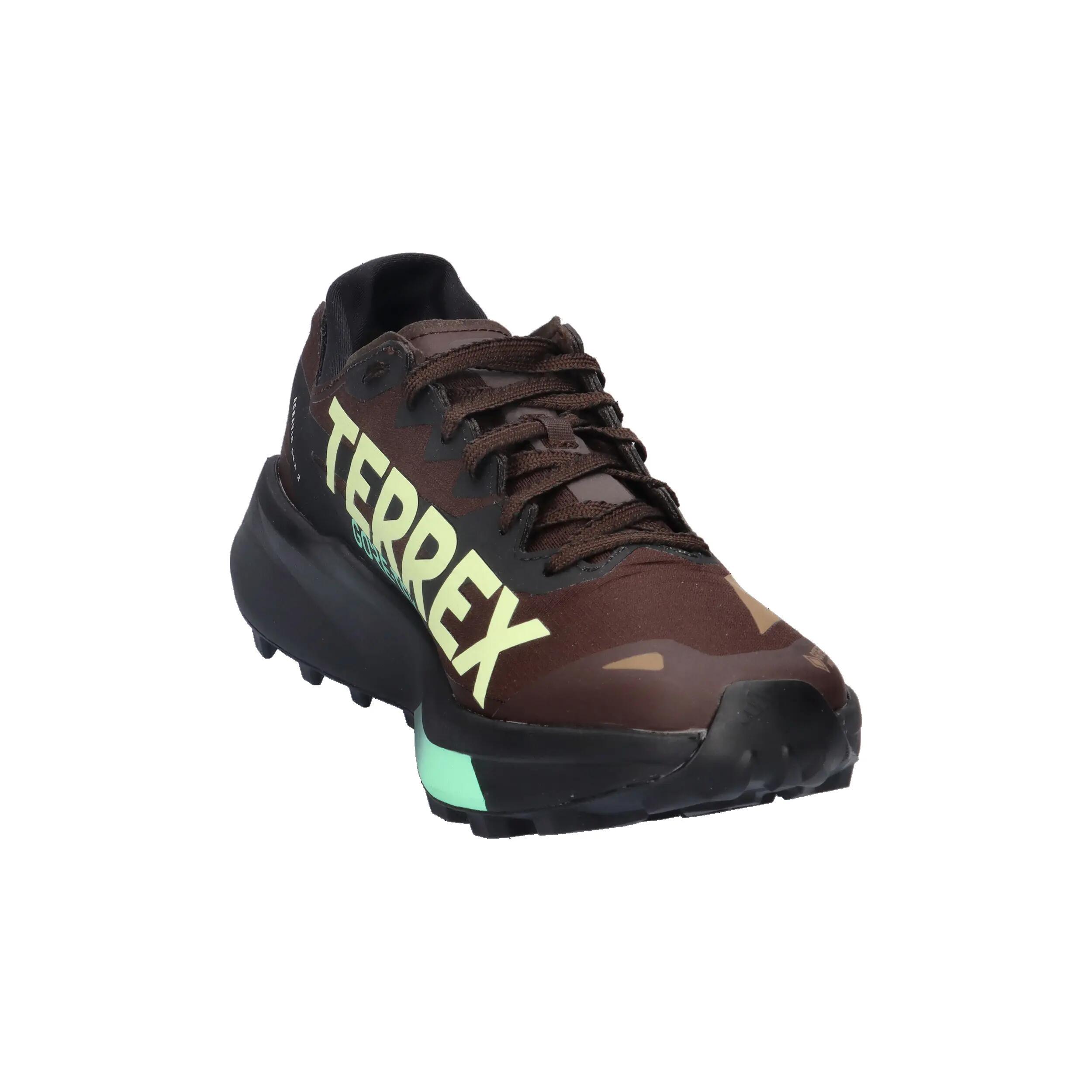 adidas TERREX Herren Trail-Running Schuhe Agravic GTX 2 2/14