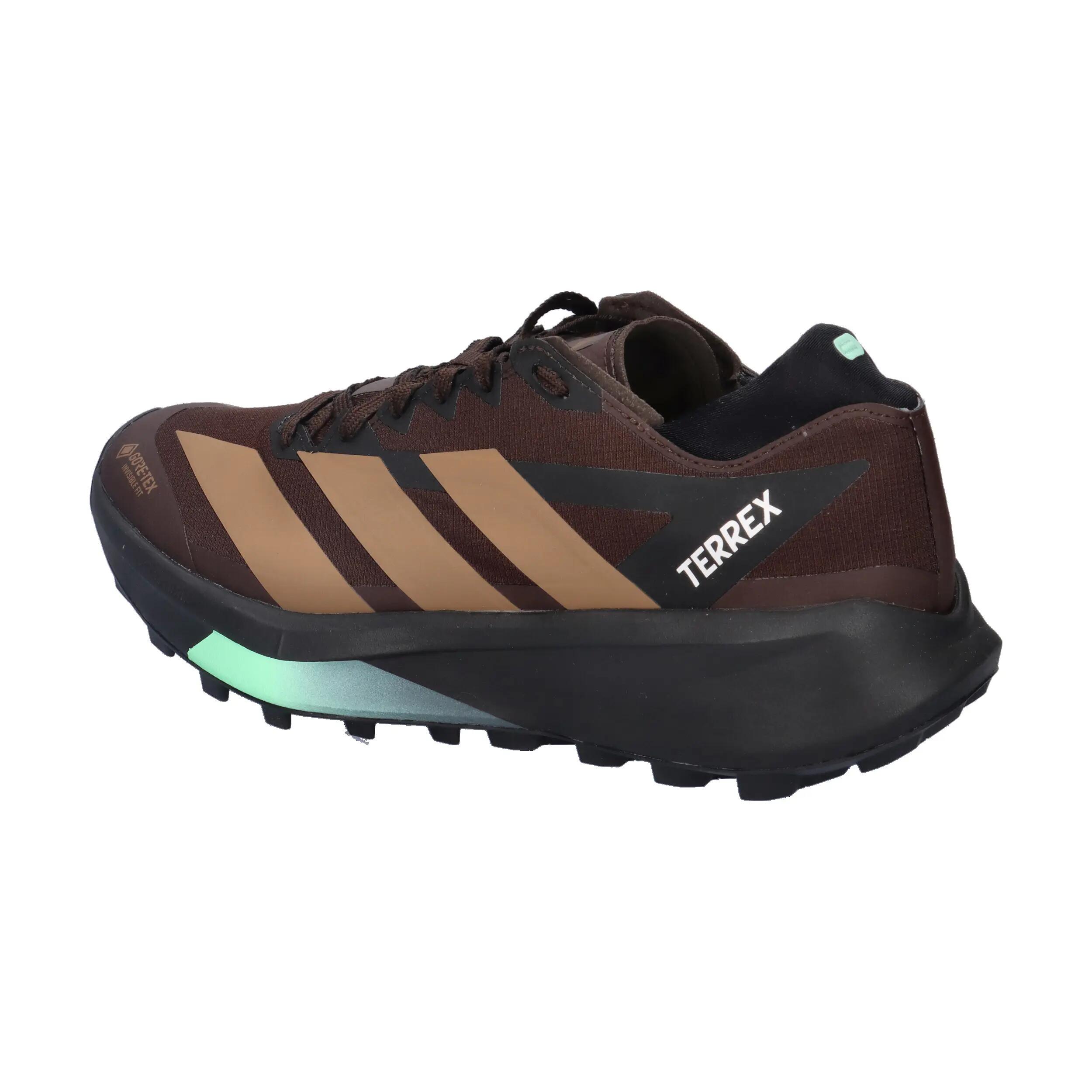 adidas TERREX Herren Trail-Running Schuhe Agravic GTX 2 10/14