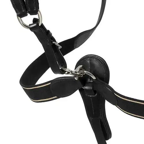 Collier de chasse pour cheval croisé élastique avec pattes de fixation Lexhis 3/4