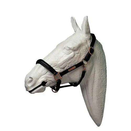 Leren halster voor paard Lexhis 1/1