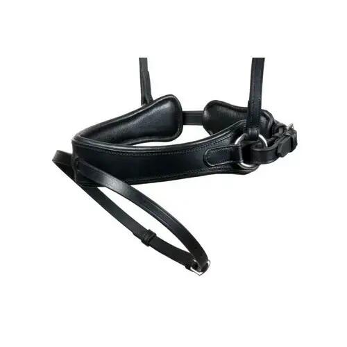 Bridles für englisches Pferd Lexhis 2/4