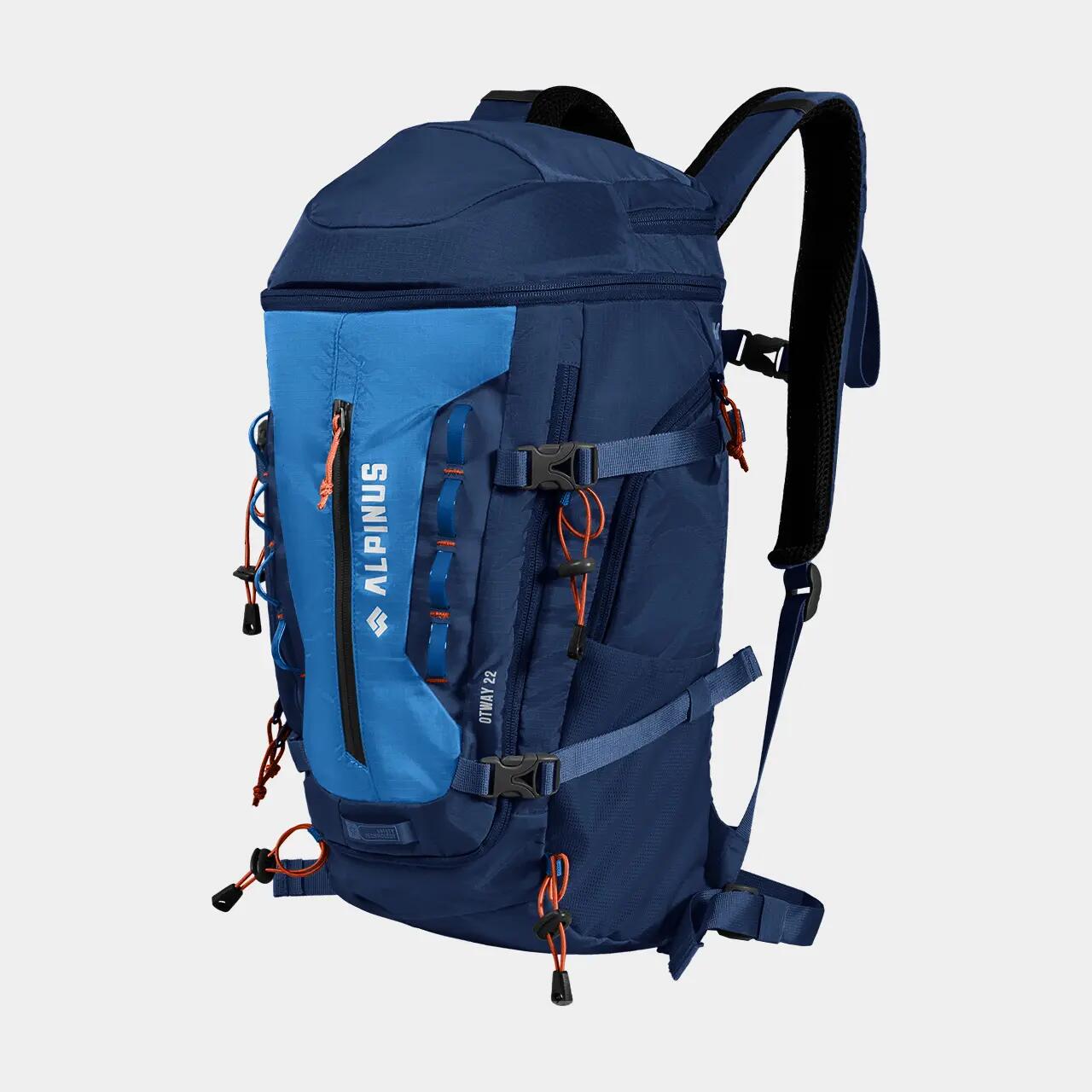ALPINUS picture