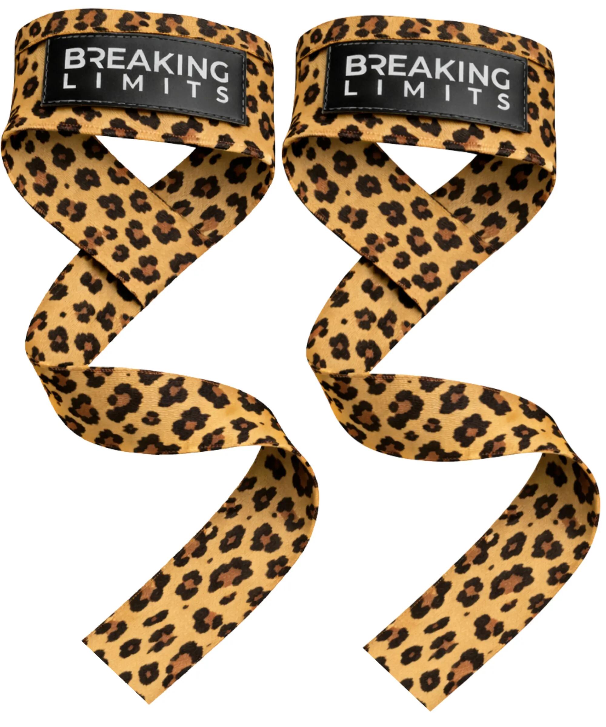 BREAKING LIMITS picture