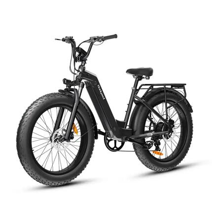 Volwassen elektrische fiets Bodywel D9, 48V 15Ah batterij, 26" dikke band