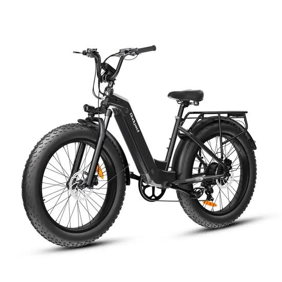 Volwassen elektrische fiets Bodywel D9, 48V 15Ah batterij, 26" dikke band