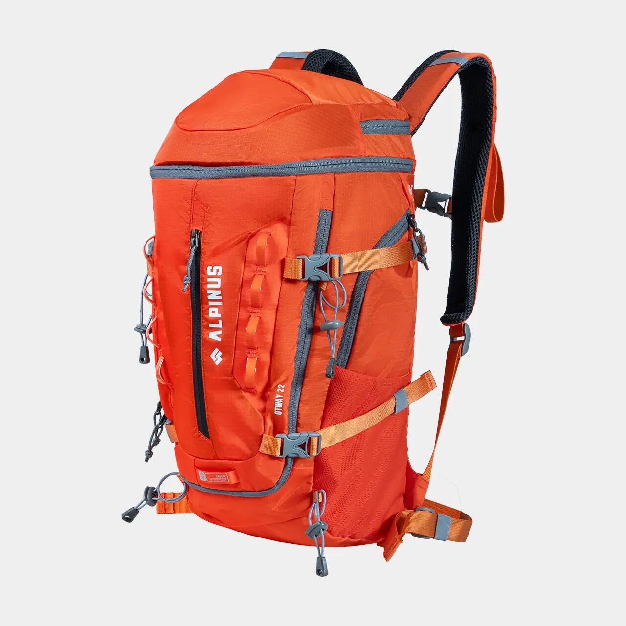ALPINUS picture