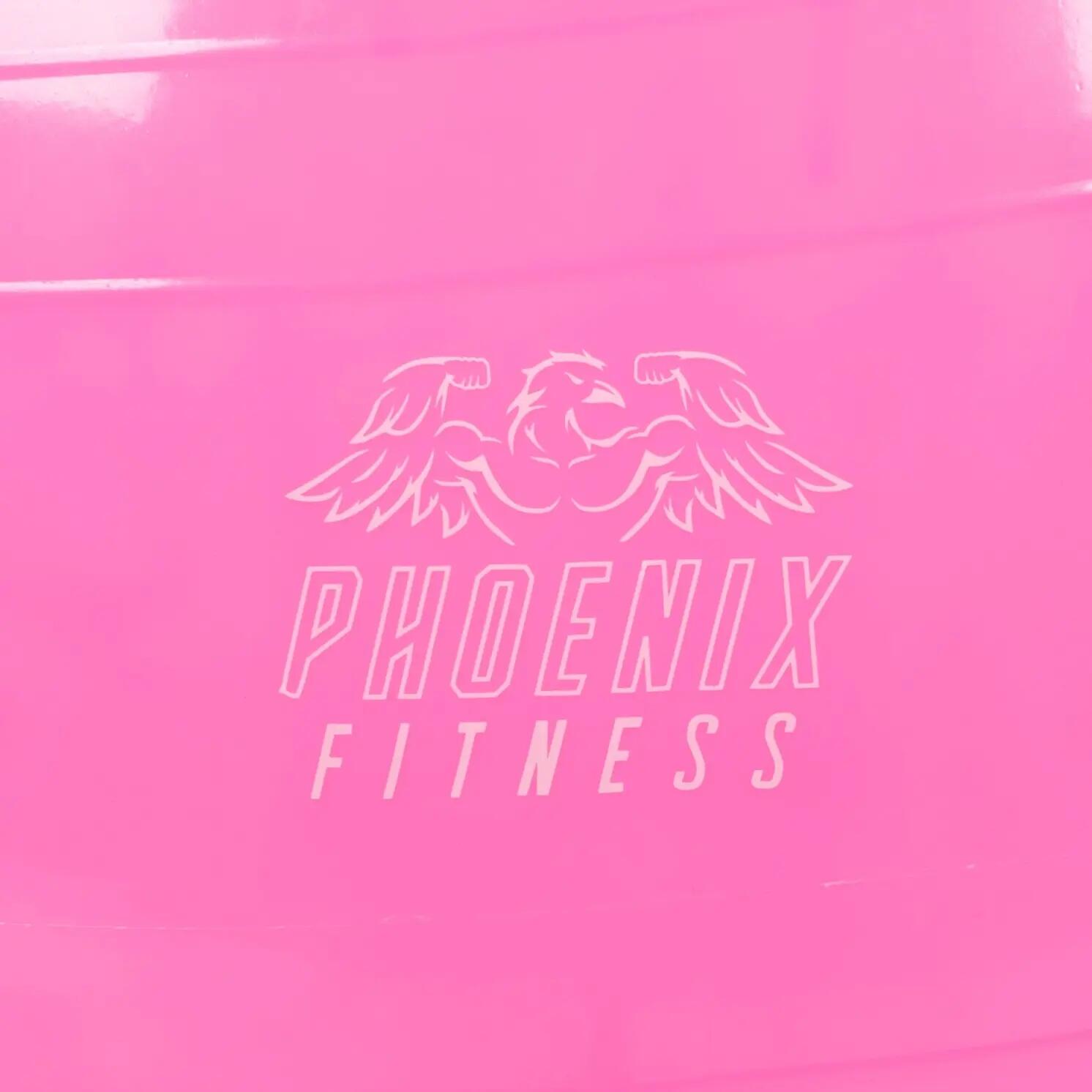 Gymnastikball Mit Luftpumpe Pink 7/9