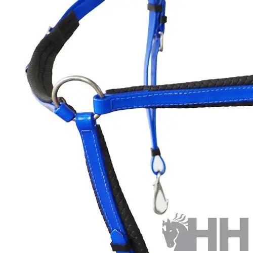Collier de chasse pour cheval Lexhis Biothane 2/2