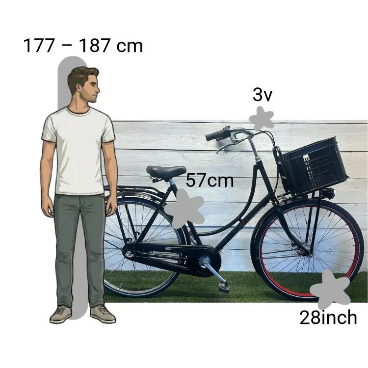 Bicicleta usada Batavus Old Dutch 2/4