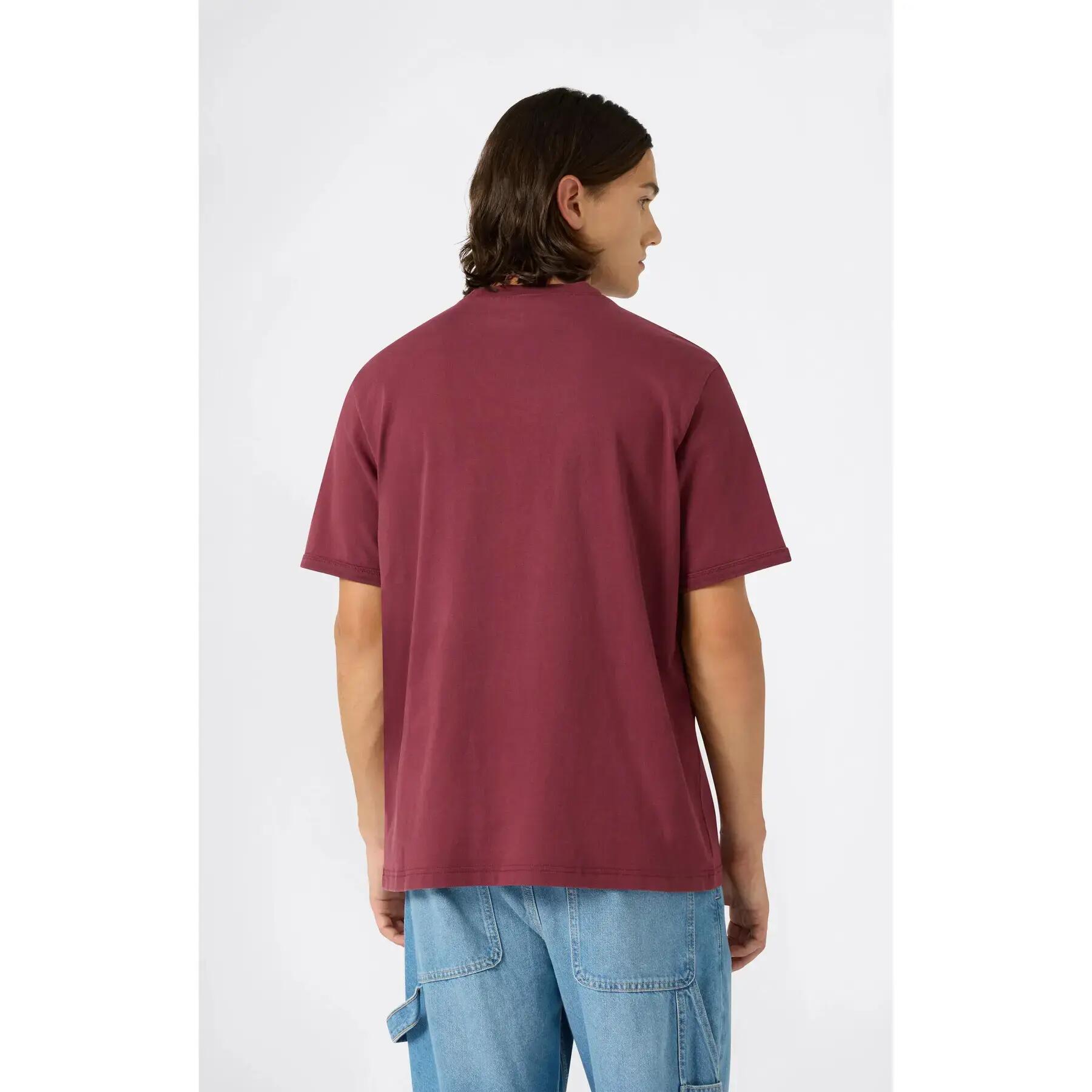 T-shirt Champion 3/5