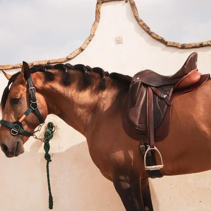 Tapis de selle pour cheval anglaise PVC Lexhis 2/6