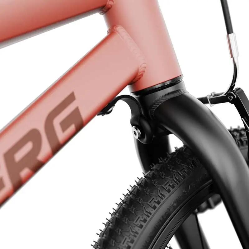 Vélo pour Enfants, 4+ Ans, 16 Pouces, Dash 16 Terracotta 5/7