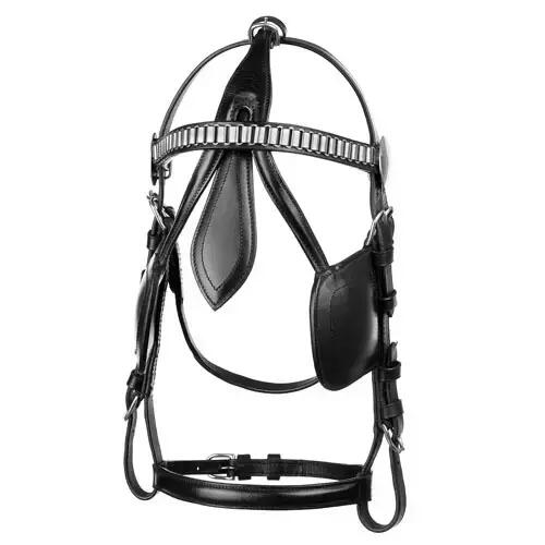 Collier d'attelage pour cheval Lexhis Munich Sencillo 2/5