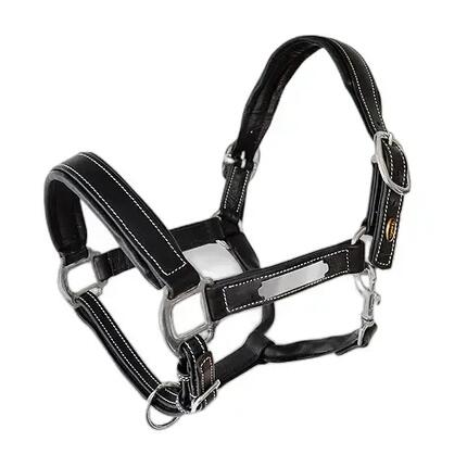 Licol pour cheval en cuir Lexhis