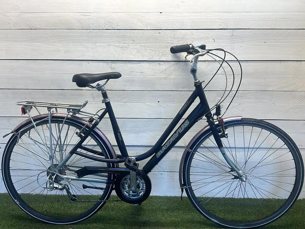 BATAVUS picture
