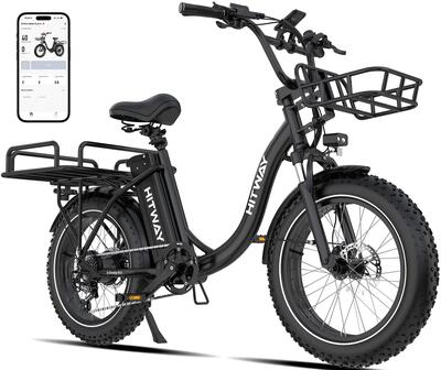 Elektrische bakfiets fat bike 20x4.0 lange actieradius bk6s plus