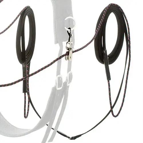 Riemen voor paard met clips Lexhis 4/4