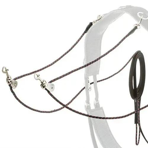 Riemen voor paard met clips Lexhis 3/4