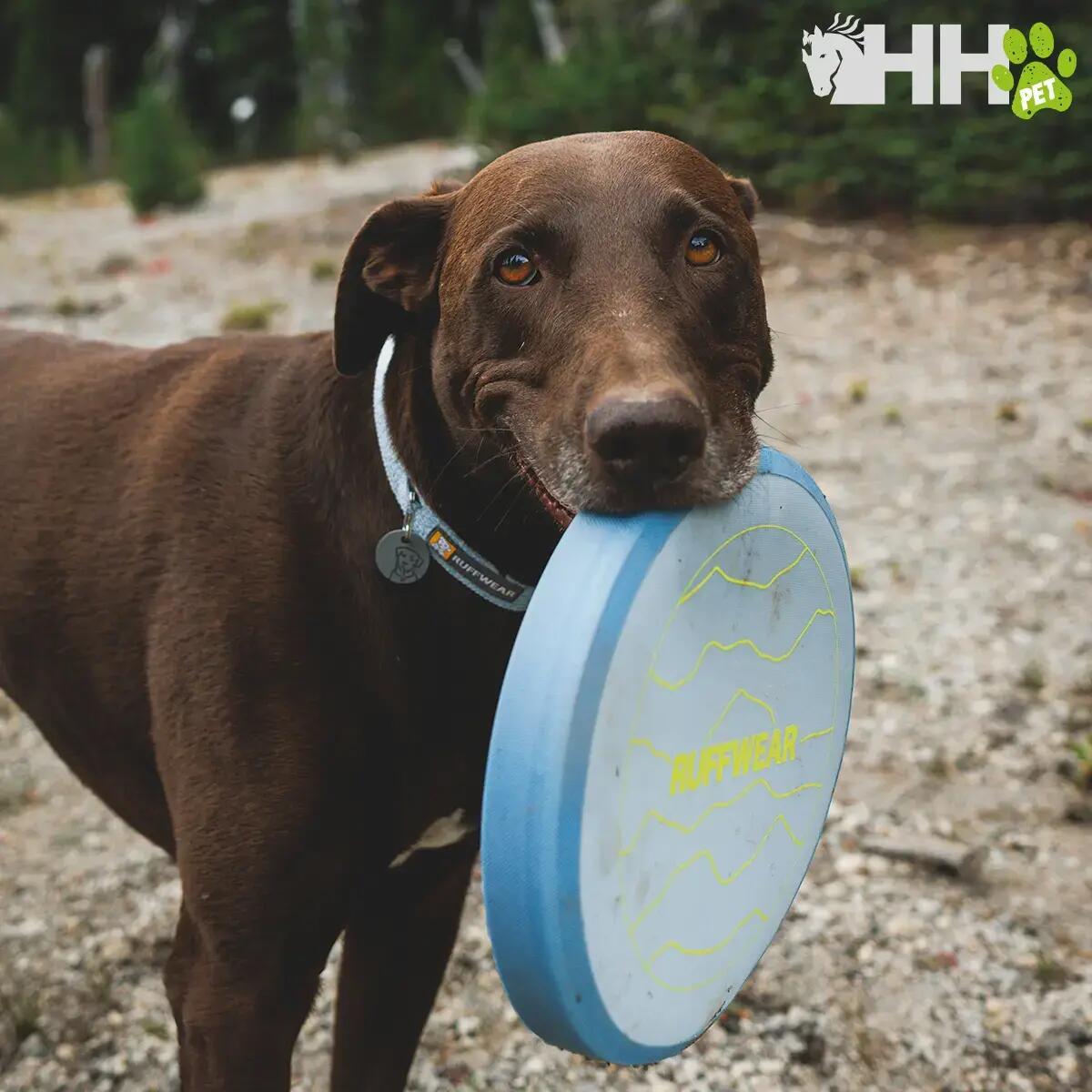 Frisbee für Hunde Ruffwear Camp Flyer 3/3
