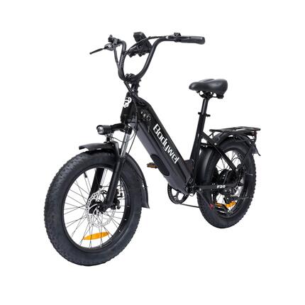 Elektrische fiets Bodywel F20, 48V 15Ah batterij, 20" dikke banden