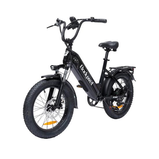 Elektrische fiets Bodywel F20, 48V 15Ah batterij, 20" dikke banden