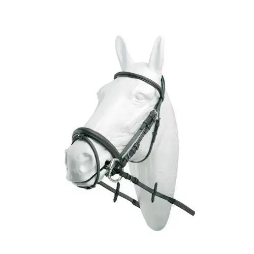 Bridons équitation pour cheval Lexhis 2/2
