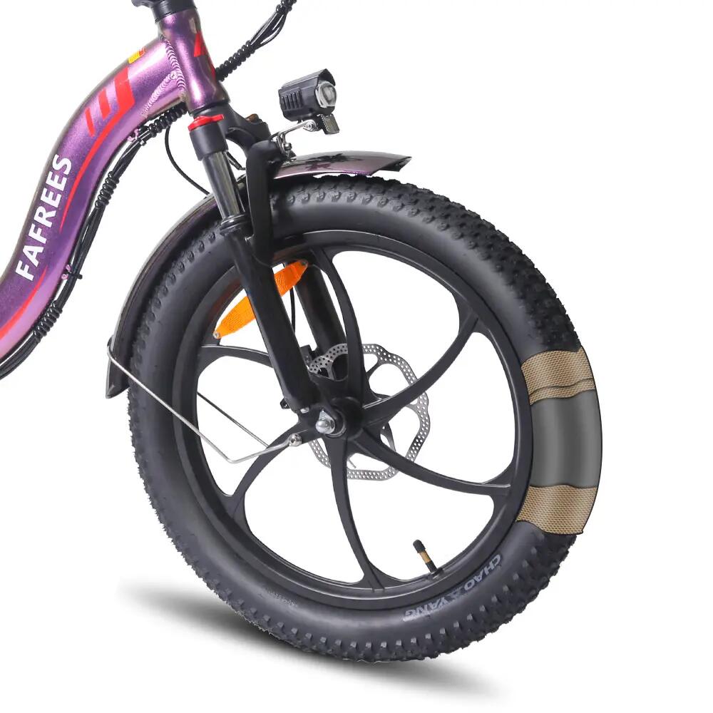 Vélo électrique urbain pliant FAFREES F20 PRO 250W 36V20Ah autonomie 100km 6/7