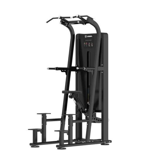 Dips et Tractions