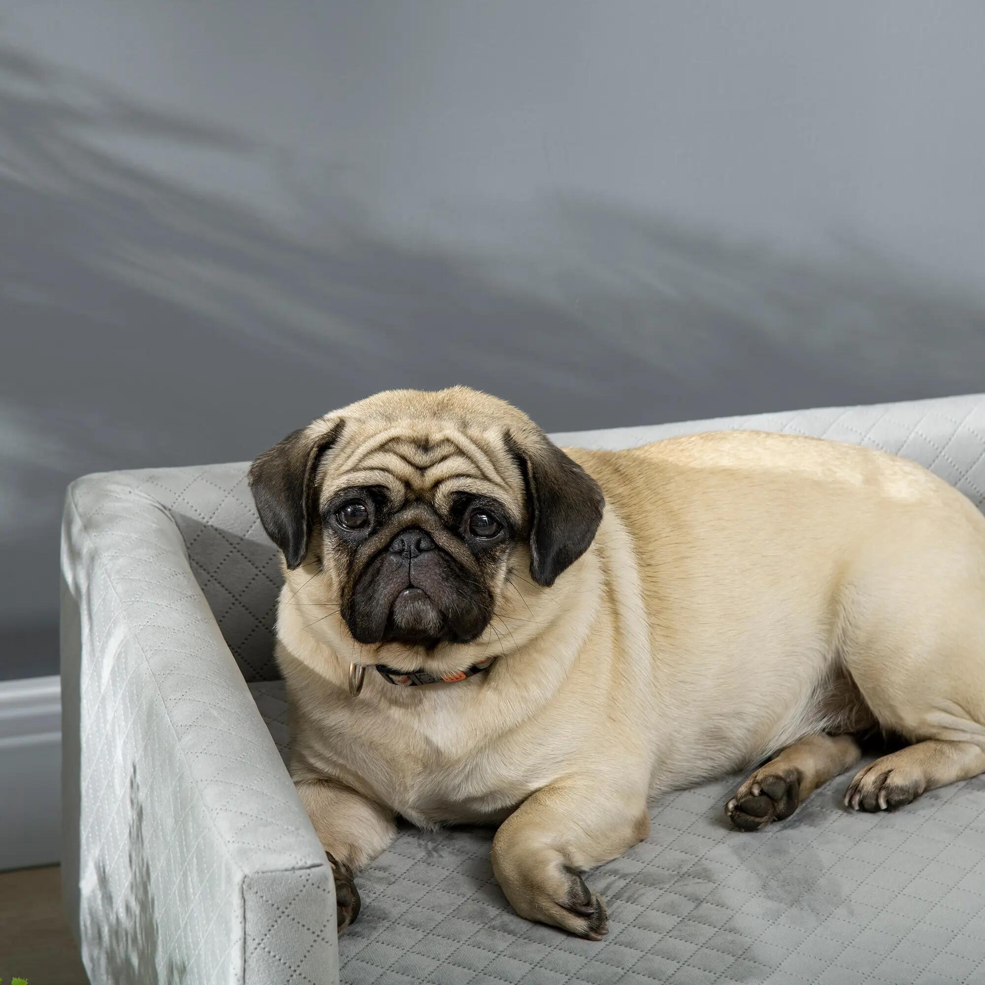 Sofá para Perros PawHut 64x45x36 cm Gris oscuro 4/5