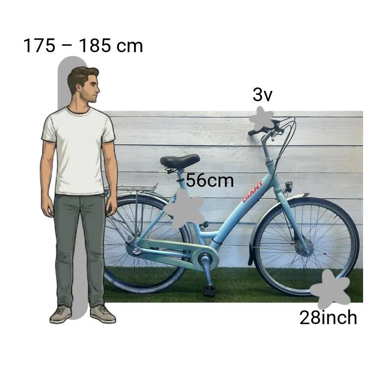 Bicicleta usada Giant Chill 2/4