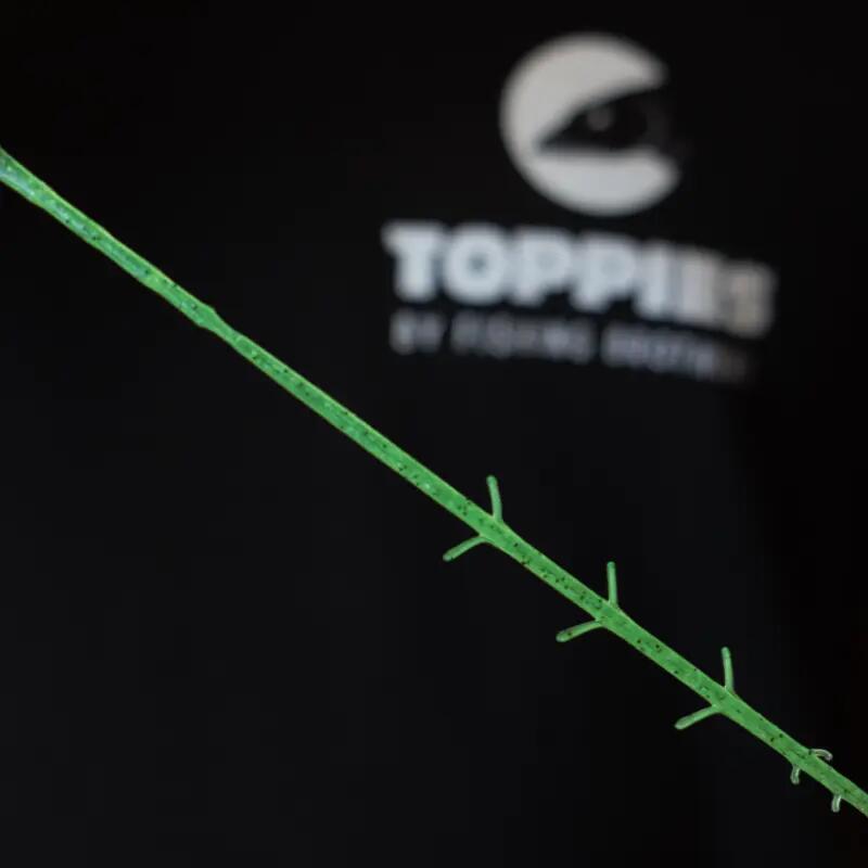 Softbaits - Toppies – Garnelius (Chartreuse Gold, 7 cm) 4/5