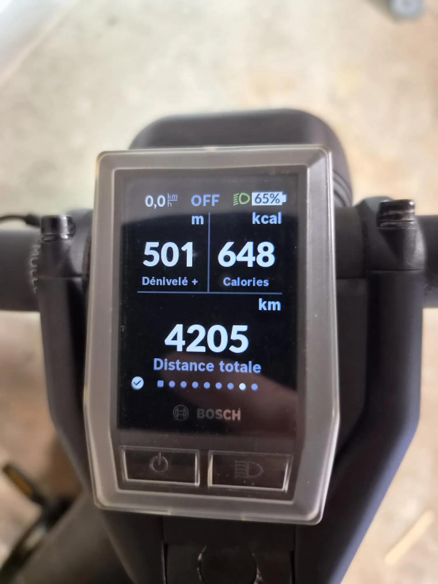 Entre Particuliers - Riese & MÜller Nevo Vario Speed pedelec 45km-h 7/7