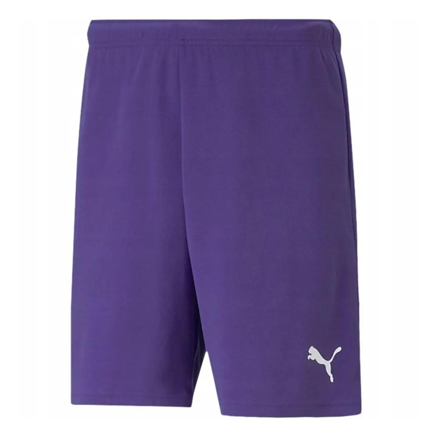PUMA picture