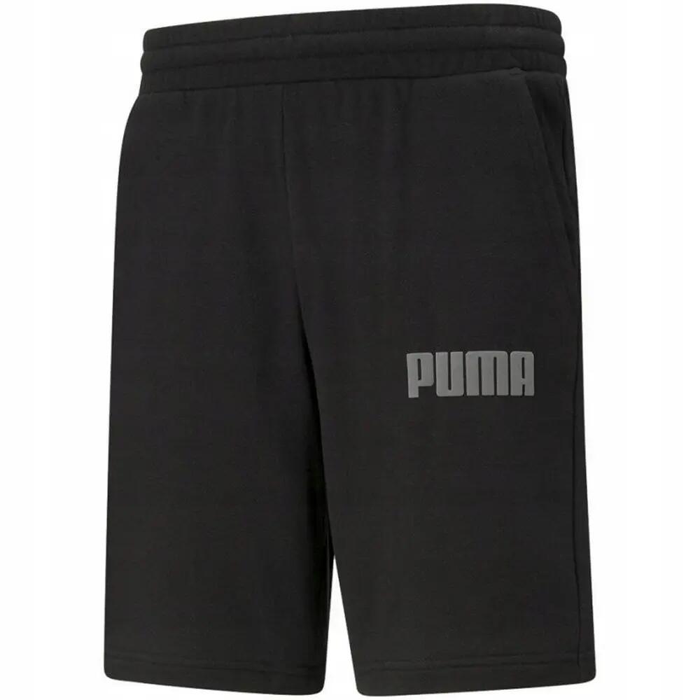 PUMA picture