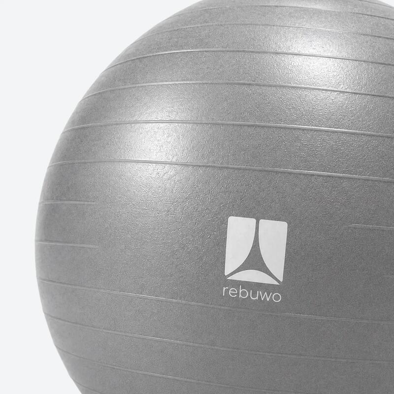 Rebuwo Pilates Topu 65 cm Gri
