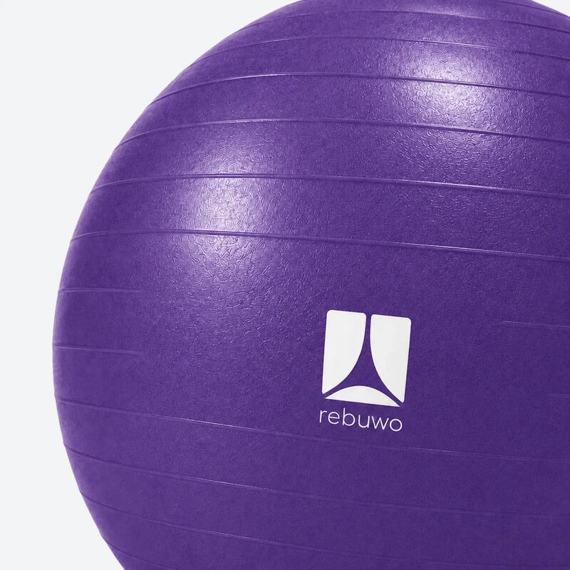 Rebuwo Pilates Topu 65 cm Mor