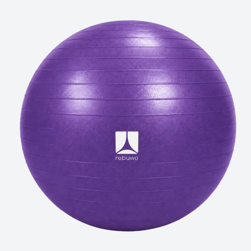 Rebuwo Pilates Topu 65 cm Mor