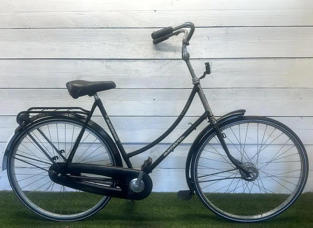 BATAVUS picture