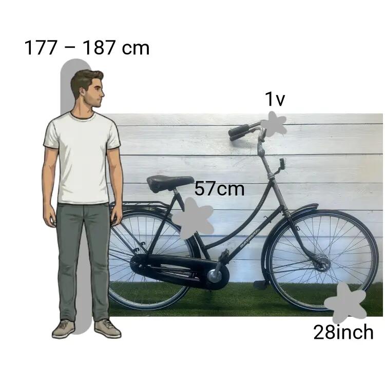 Tweedehands Batavus Florence 2/4