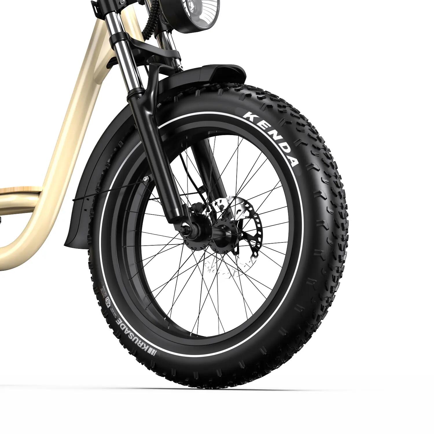 Bicicletta elettrica per adulti W77, pneumatici 20" × 4,0", batteria 48V 18Ah. 9/10