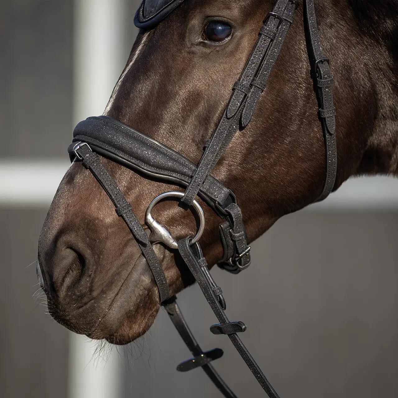 Cinghia da equitazione anatomica QHP Glitter 6/6