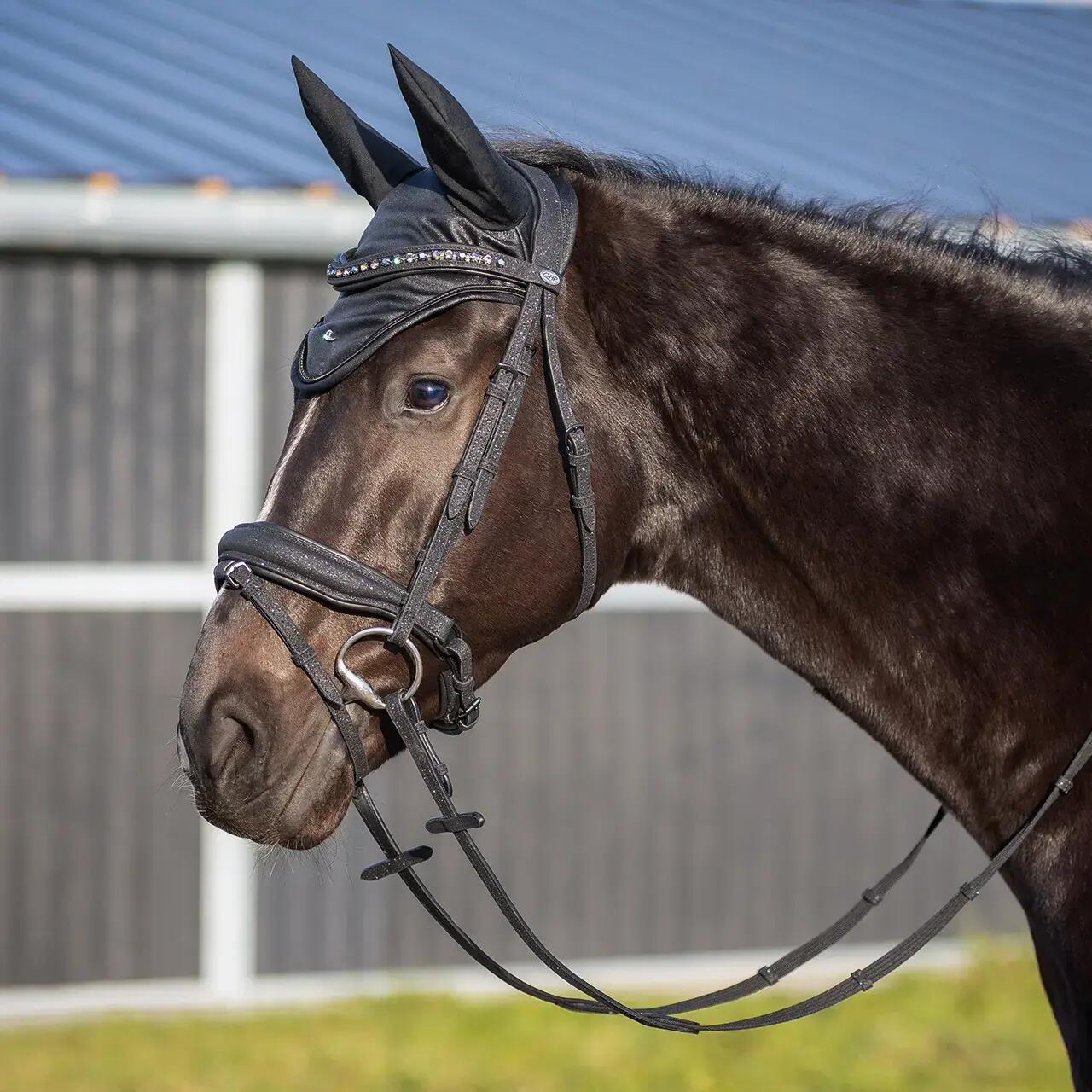 Cinghia da equitazione anatomica QHP Glitter 2/6